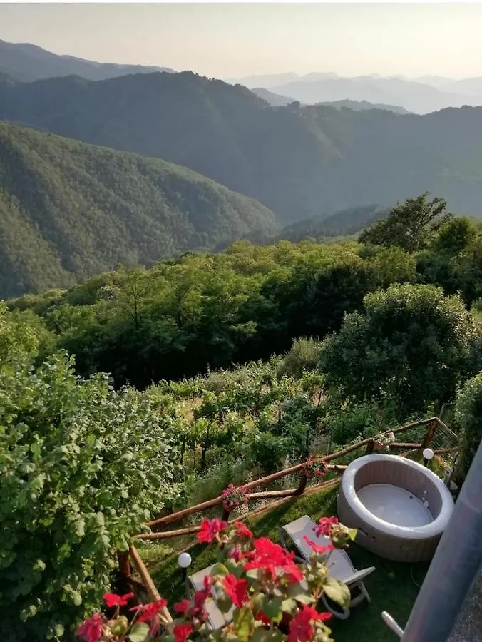Holiday home Home Holidays Crasciana, Con Terrazza Vista Sulle Alpi Apuane. Italy